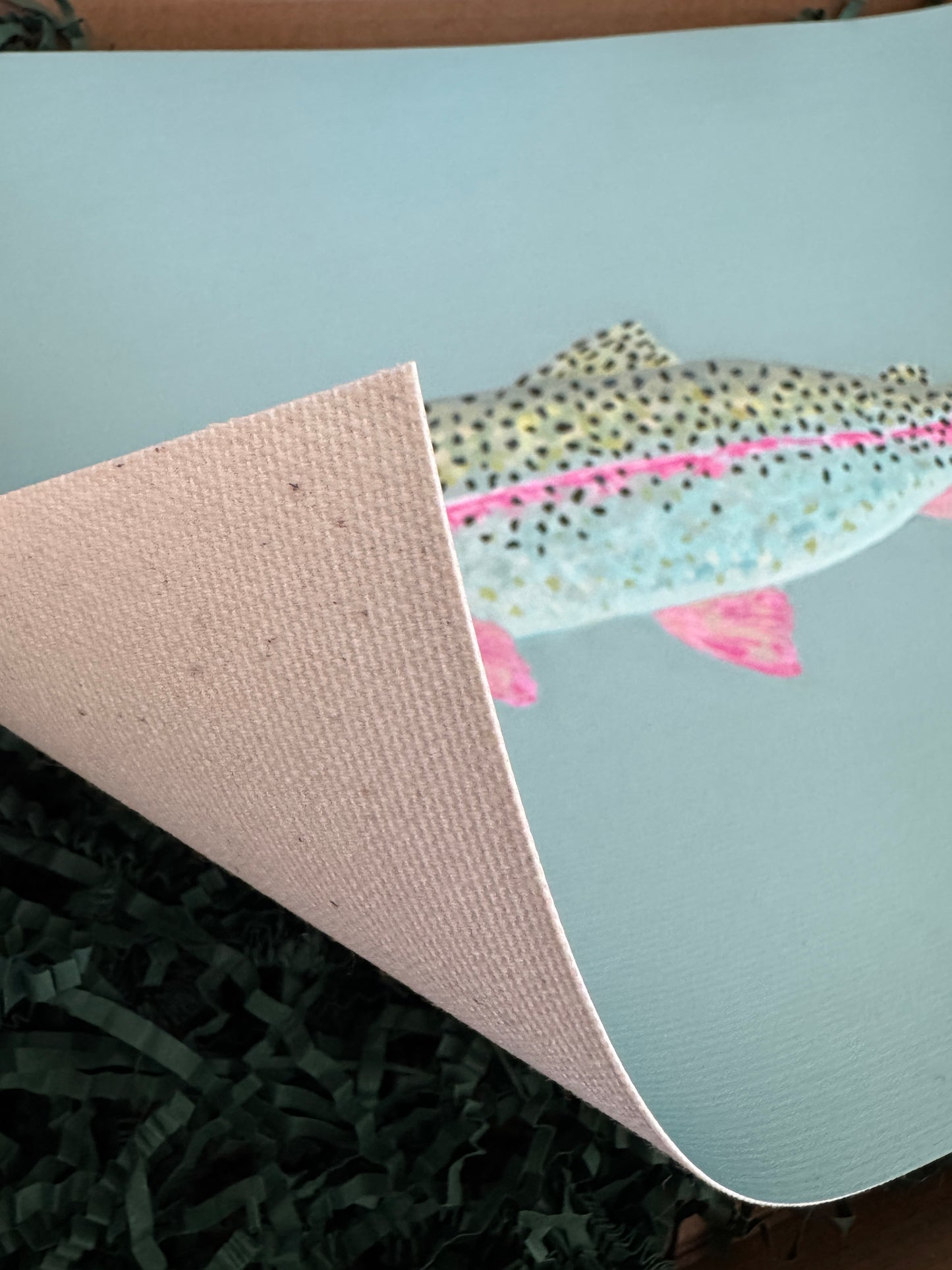 "The Tackle Box" Gallery Wall Set of 6 - Trout Fine Art Print Set