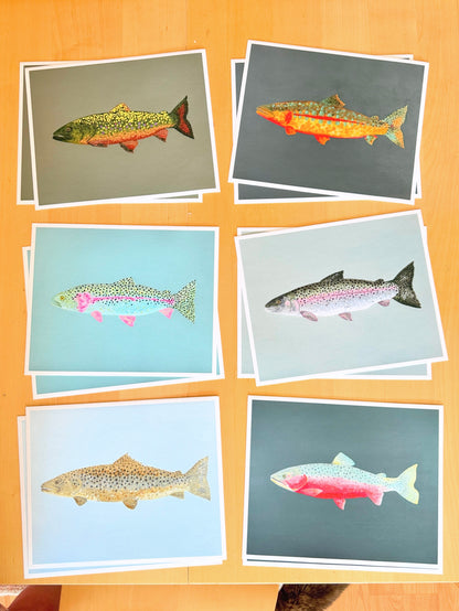 "The Tackle Box" Gallery Wall Set of 6 - Trout Fine Art Print Set
