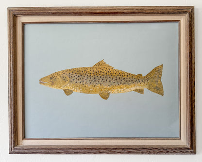 Original Painting - Barnaby the Brown Trout - Acrylic on Canvas in Antique frame