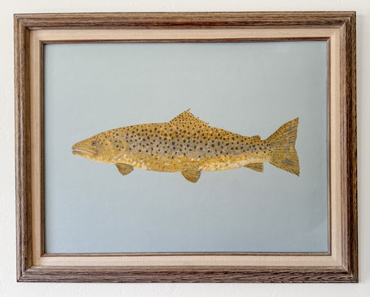 Original Painting - Barnaby the Brown Trout - Acrylic on Canvas in Antique frame