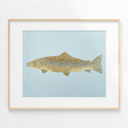 "Barnaby the Brown Trout" Fine Art Print