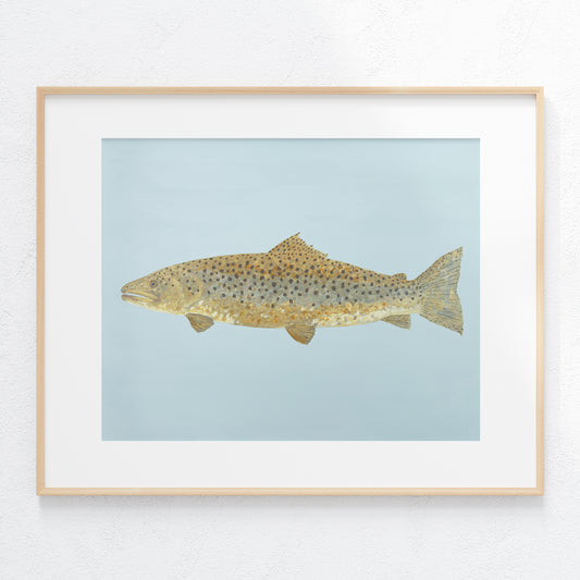 "Barnaby the Brown Trout" Fine Art Print