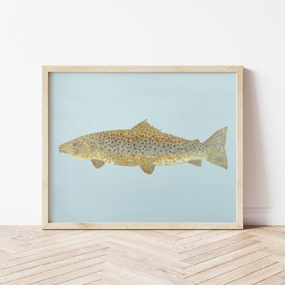 "Barnaby the Brown Trout" Fine Art Print