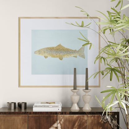 "Barnaby the Brown Trout" Fine Art Print