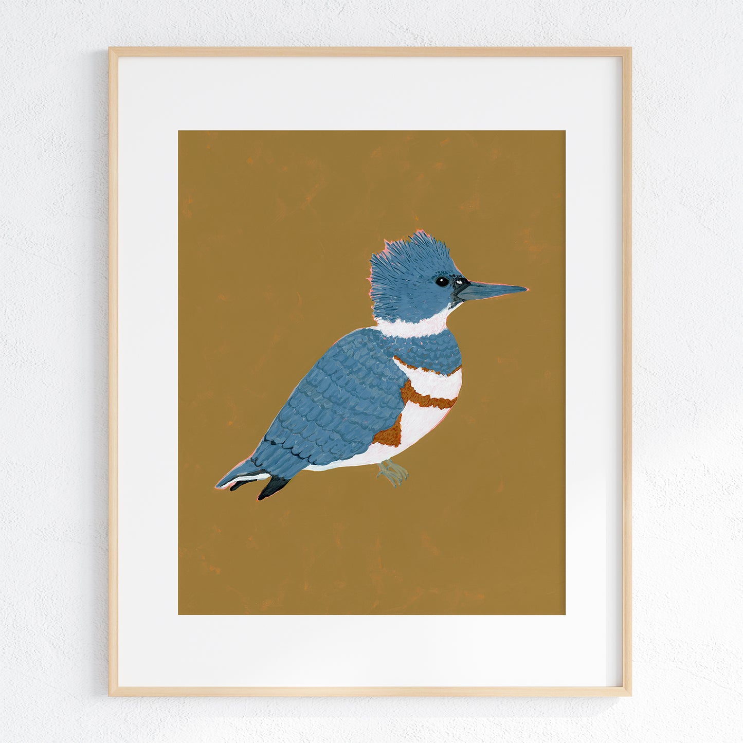 Belted Kingfisher Fine Art Print