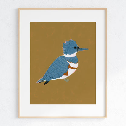 Belted Kingfisher Fine Art Print