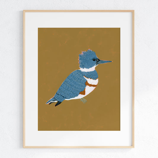 Belted Kingfisher Fine Art Print