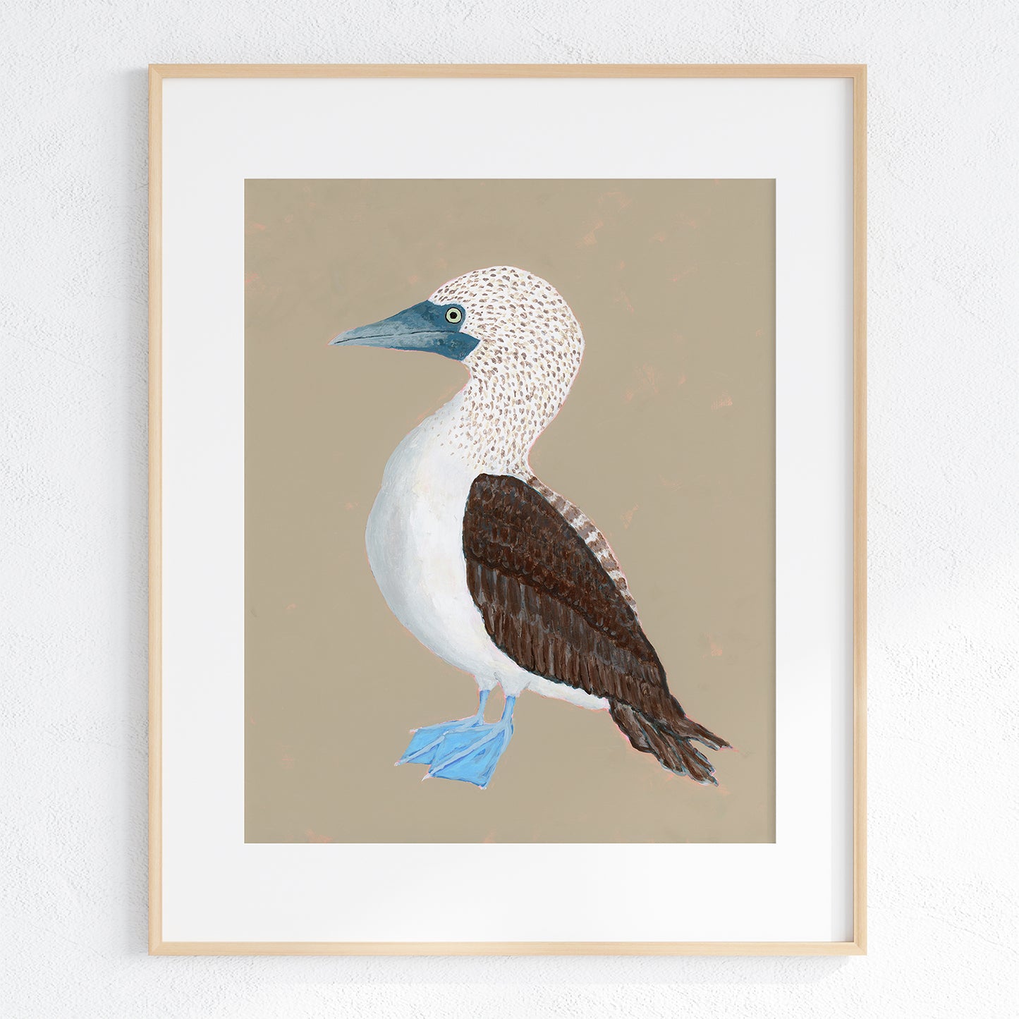 Blue-Footed Booby Fine Art Print