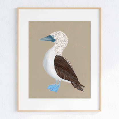 Blue-Footed Booby Fine Art Print