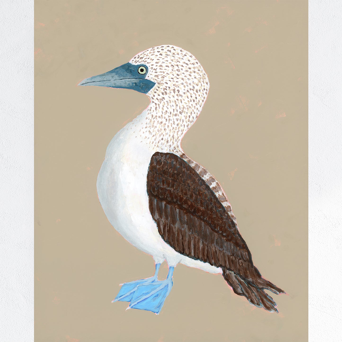 Blue-Footed Booby Fine Art Print