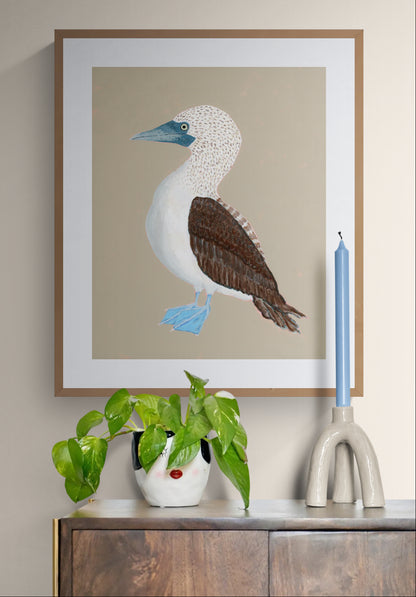 Blue-Footed Booby Fine Art Print