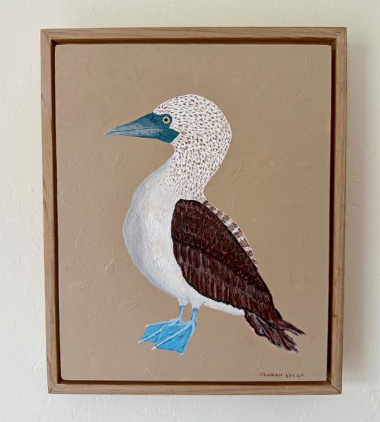 Original Blue-Footed Booby Painting in White Oak Frame