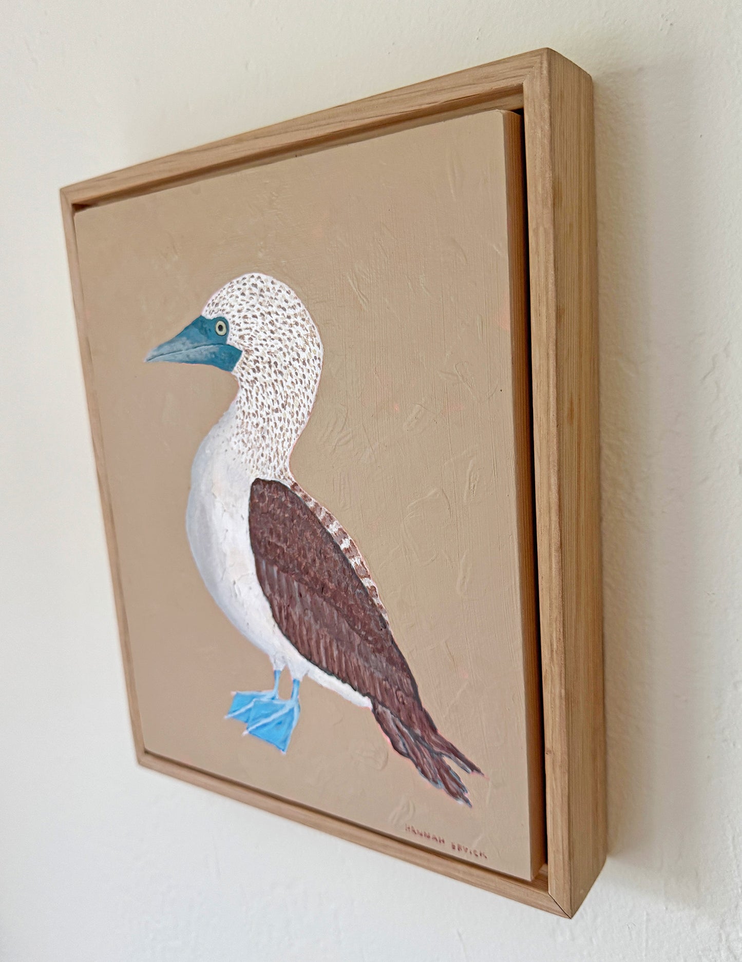 Original Blue-Footed Booby Painting in White Oak Frame