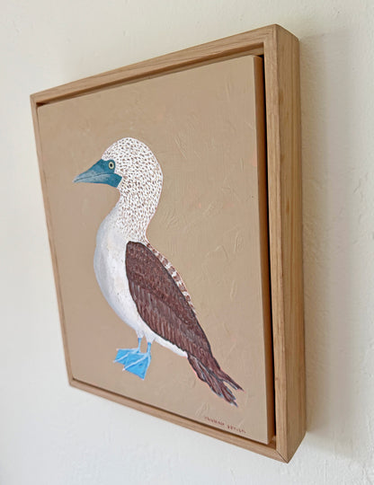 Original Blue-Footed Booby Painting in White Oak Frame