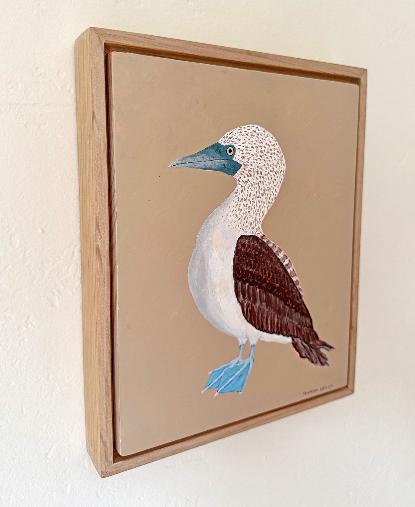 Original Blue-Footed Booby Painting in White Oak Frame