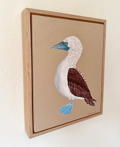 Original Blue-Footed Booby Painting in White Oak Frame