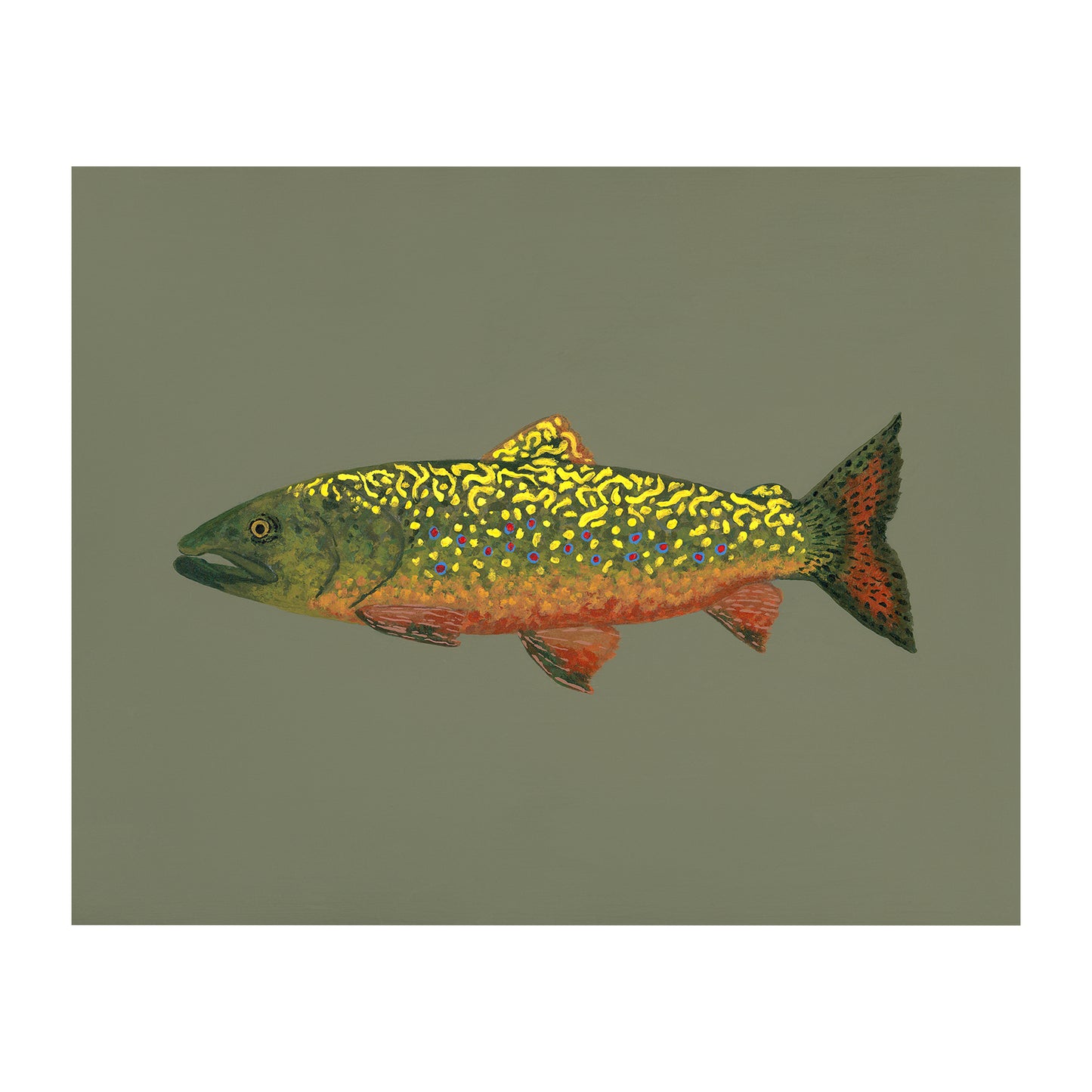 "Brook Trout" Fine Art Print