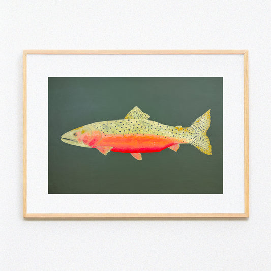 "Carlos the Cutthroat Trout" Fine Art Print