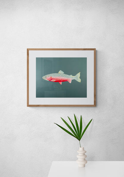 "Carl the Cutthroat Trout" Fine Art Print