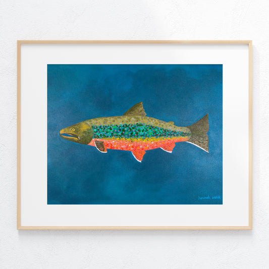 "Dolly Varden Trout - An Ode to Alaska" Fine Art Print