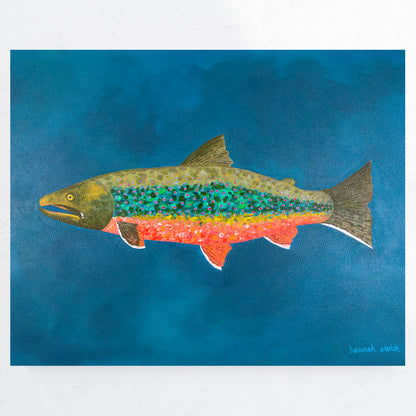 "Dolly Varden Trout - An Ode to Alaska" Fine Art Print