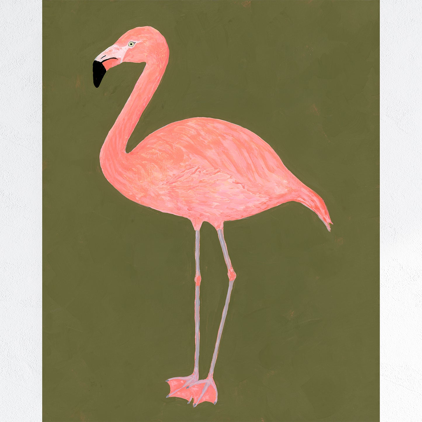Flamingo Fine Art Print