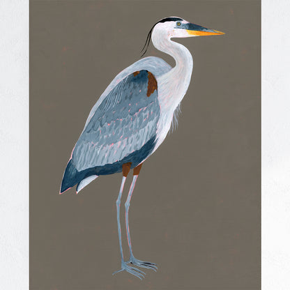 Great Blue Heron Fine Art Print