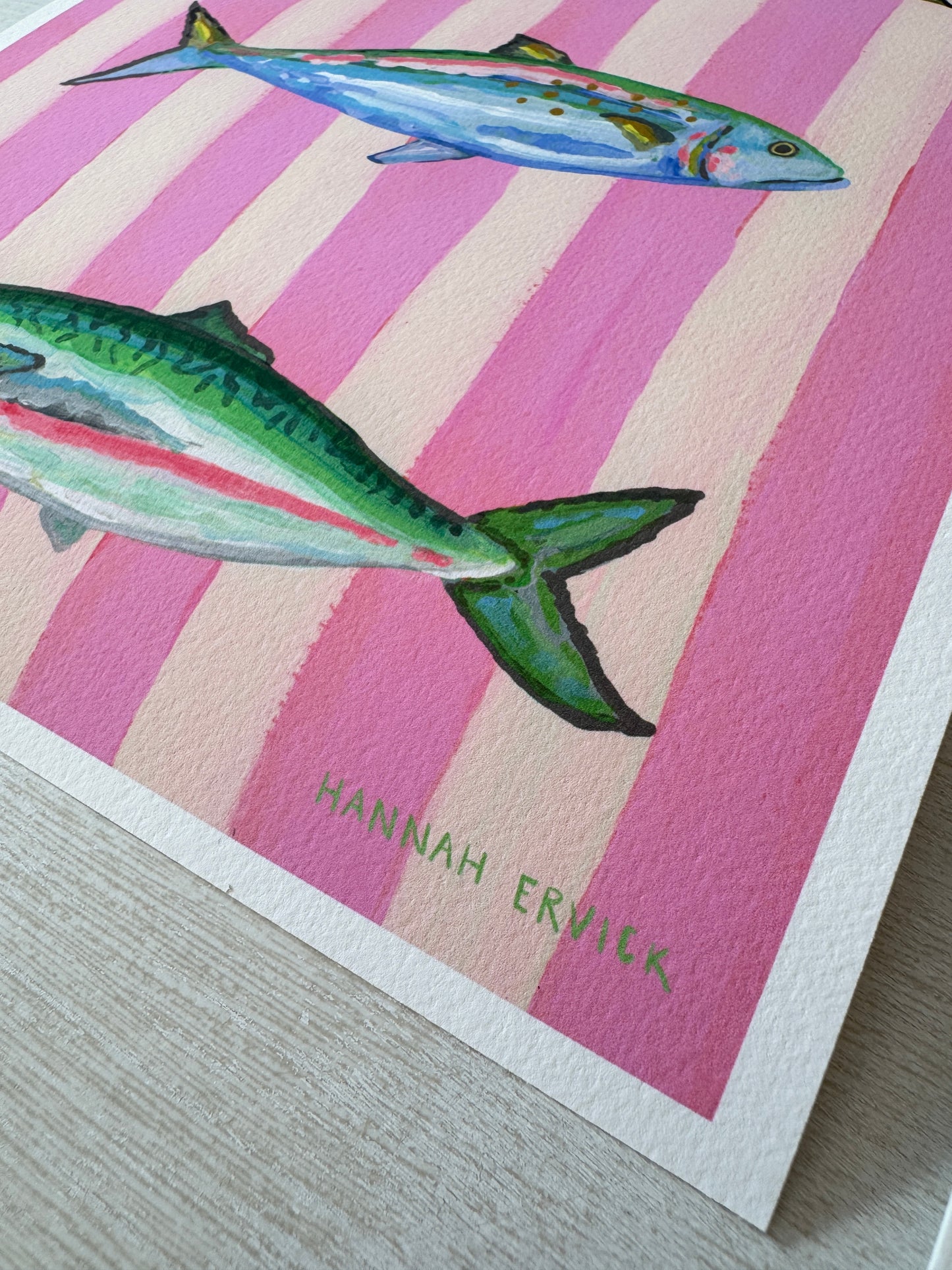 "Pink Striped Mackerels"  - Fine Art Print - Stories from the Shore Collection