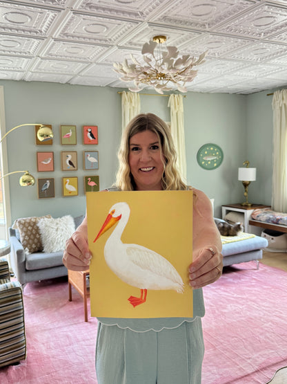 American White Pelican Fine Art Print