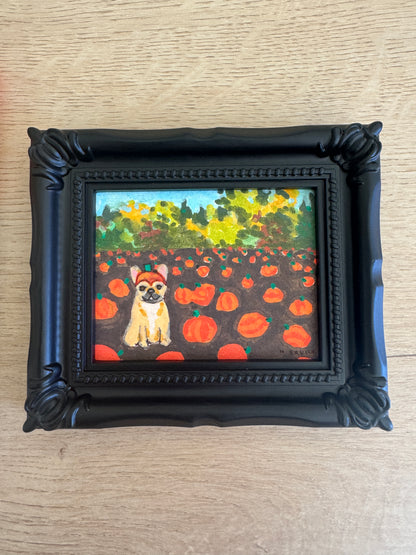 Day 7: Tiny Frenchie in a Pumpkin Patch Original Spooky Cutie