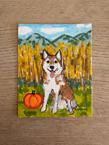 Day 11- Husky Goes Leaf Peeping in the Aspen Trees - Spooky Cutie