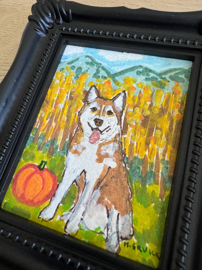 Day 11- Husky Goes Leaf Peeping in the Aspen Trees - Spooky Cutie