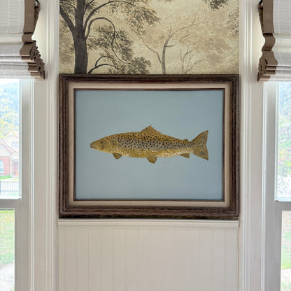 Original Painting - Barnaby the Brown Trout - Acrylic on Canvas in Antique frame