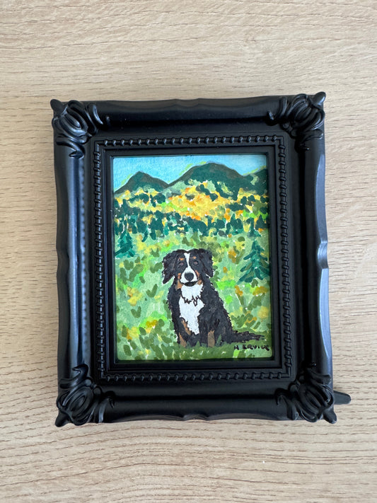 Day 13- Bernese Mountain Dog in Fall Aspen Meadow- Spooky Cutie