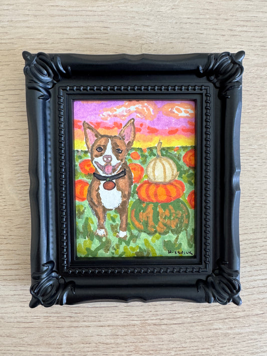 Day 14- Sunset Pitty in the Pumpkin Patch- Spooky Cutie