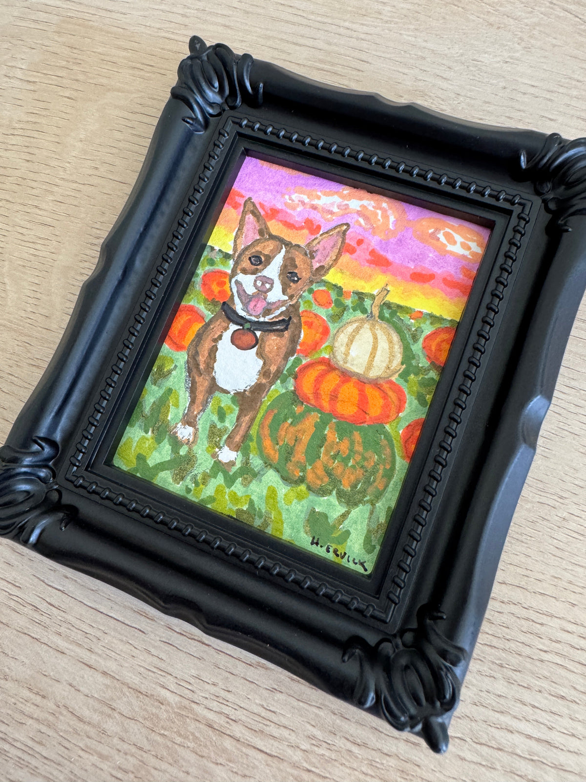 Day 14- Sunset Pitty in the Pumpkin Patch- Spooky Cutie