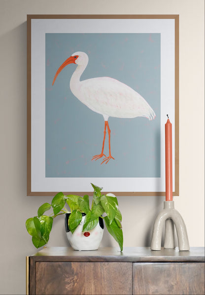 White Ibis Fine Art Print