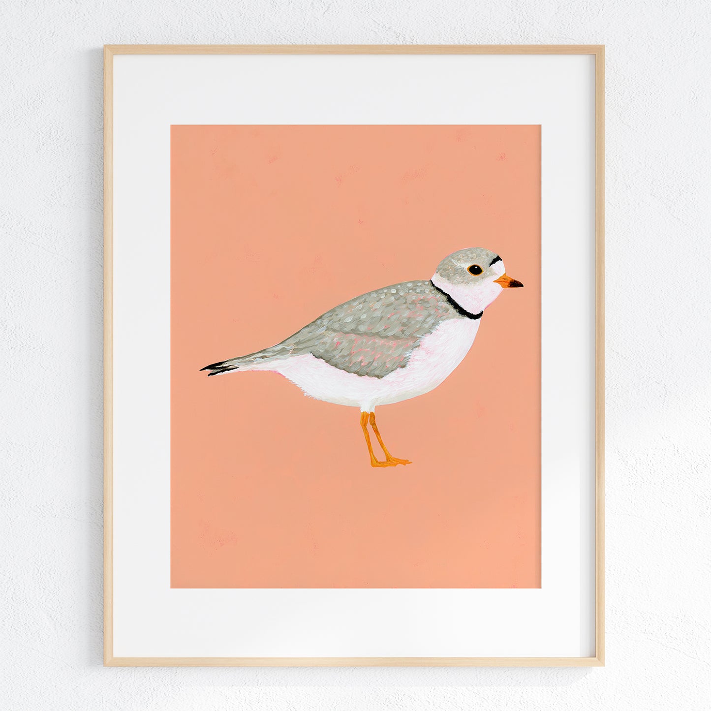 Piping Plover Fine Art Print