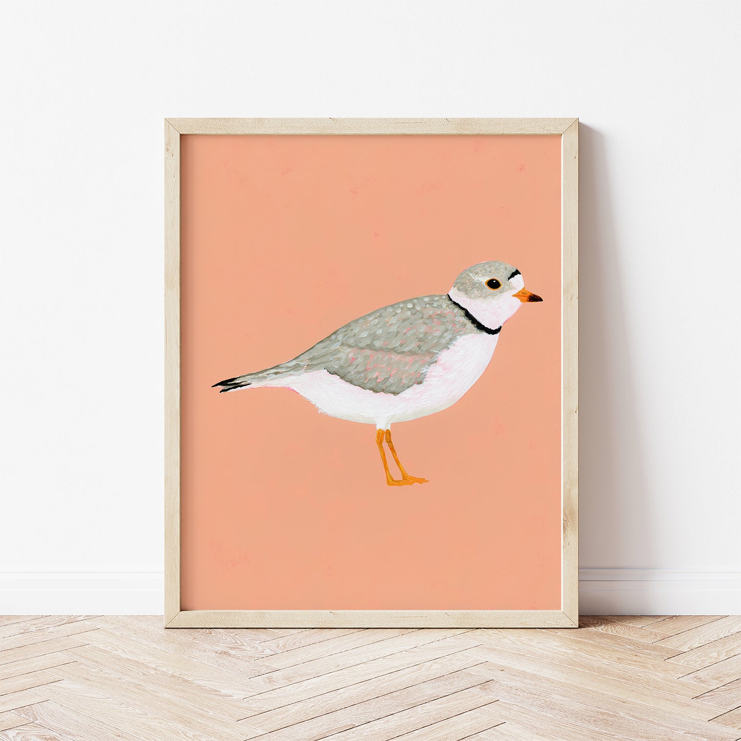Piping Plover Fine Art Print