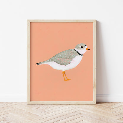 Piping Plover Fine Art Print