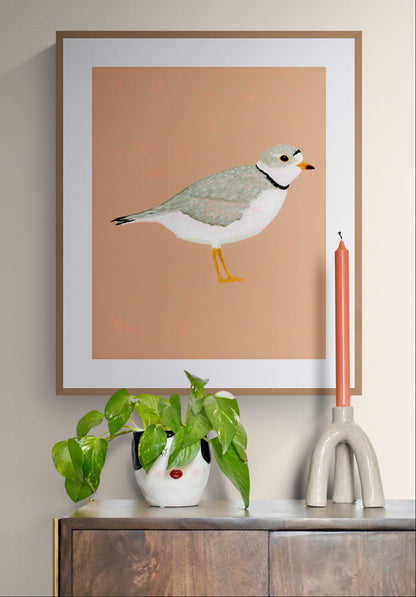 Piping Plover Fine Art Print