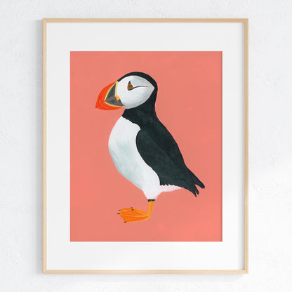 Puffin Fine Art Print