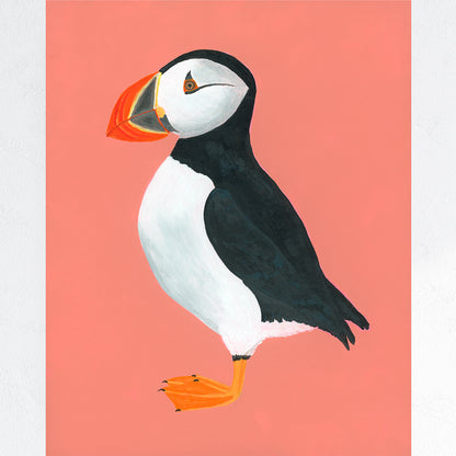 Puffin Fine Art Print