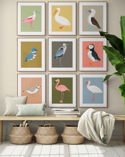"Birds of a Feather, Flock Together" - 9 Bird Gallery Wall Set - Fine Art Print Collection