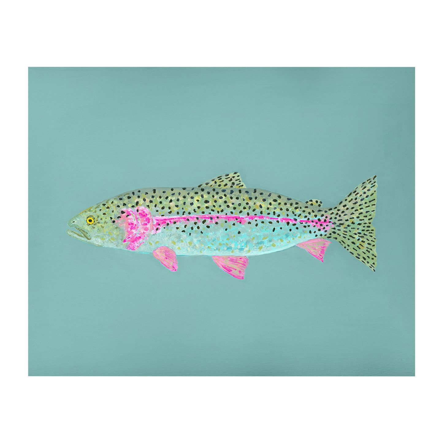 "Ronnie the Rainbow Trout" Fine Art Print