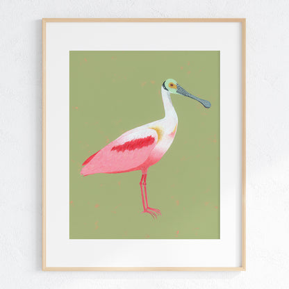 Roseate Spoonbill Fine Art Print