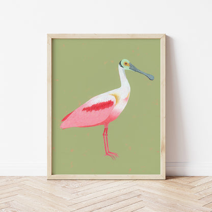 Roseate Spoonbill Fine Art Print