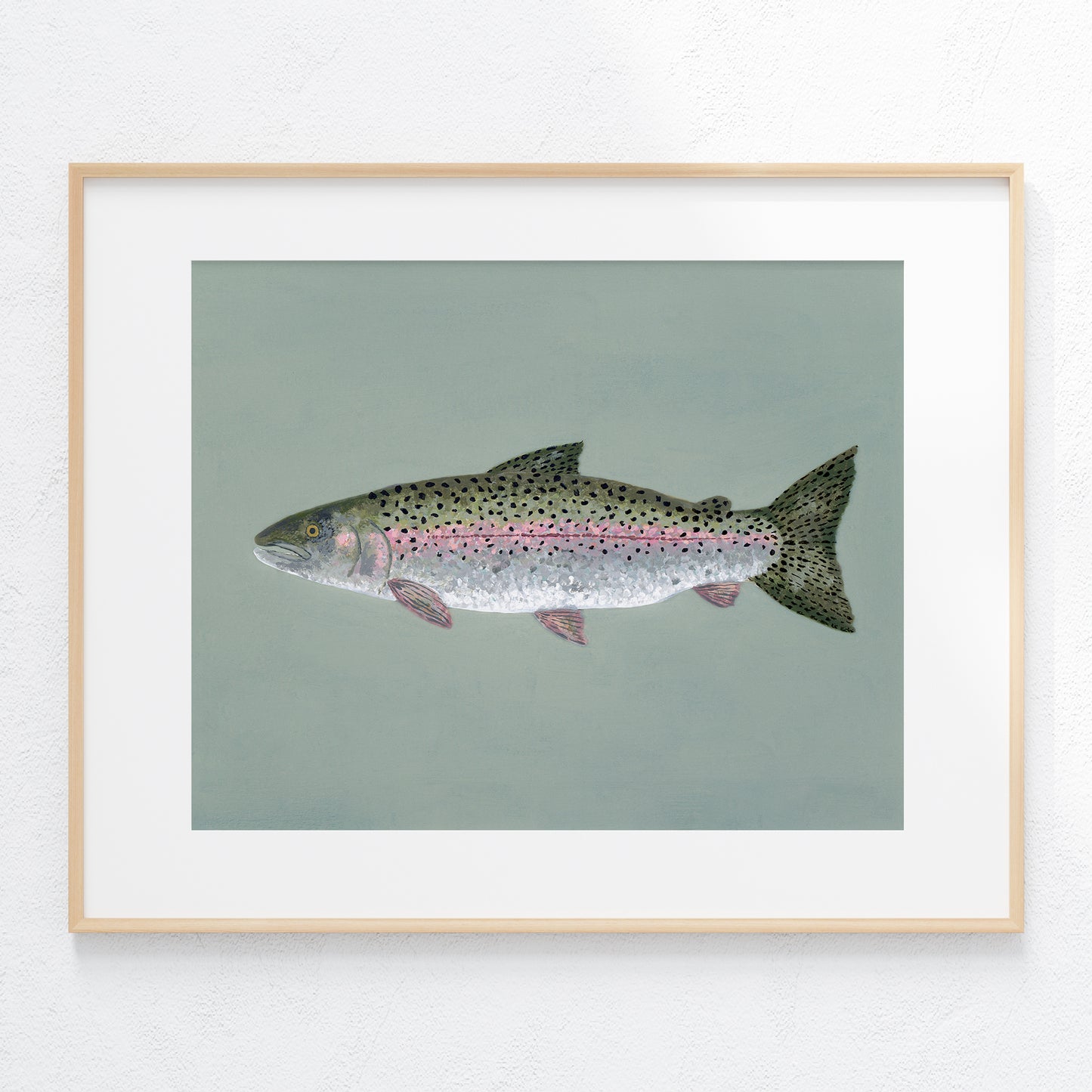"Steve the Steelhead Trout" Fine Art Print