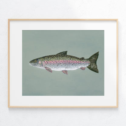 "Steve the Steelhead Trout" Fine Art Print