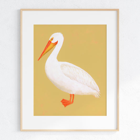 American White Pelican Fine Art Print